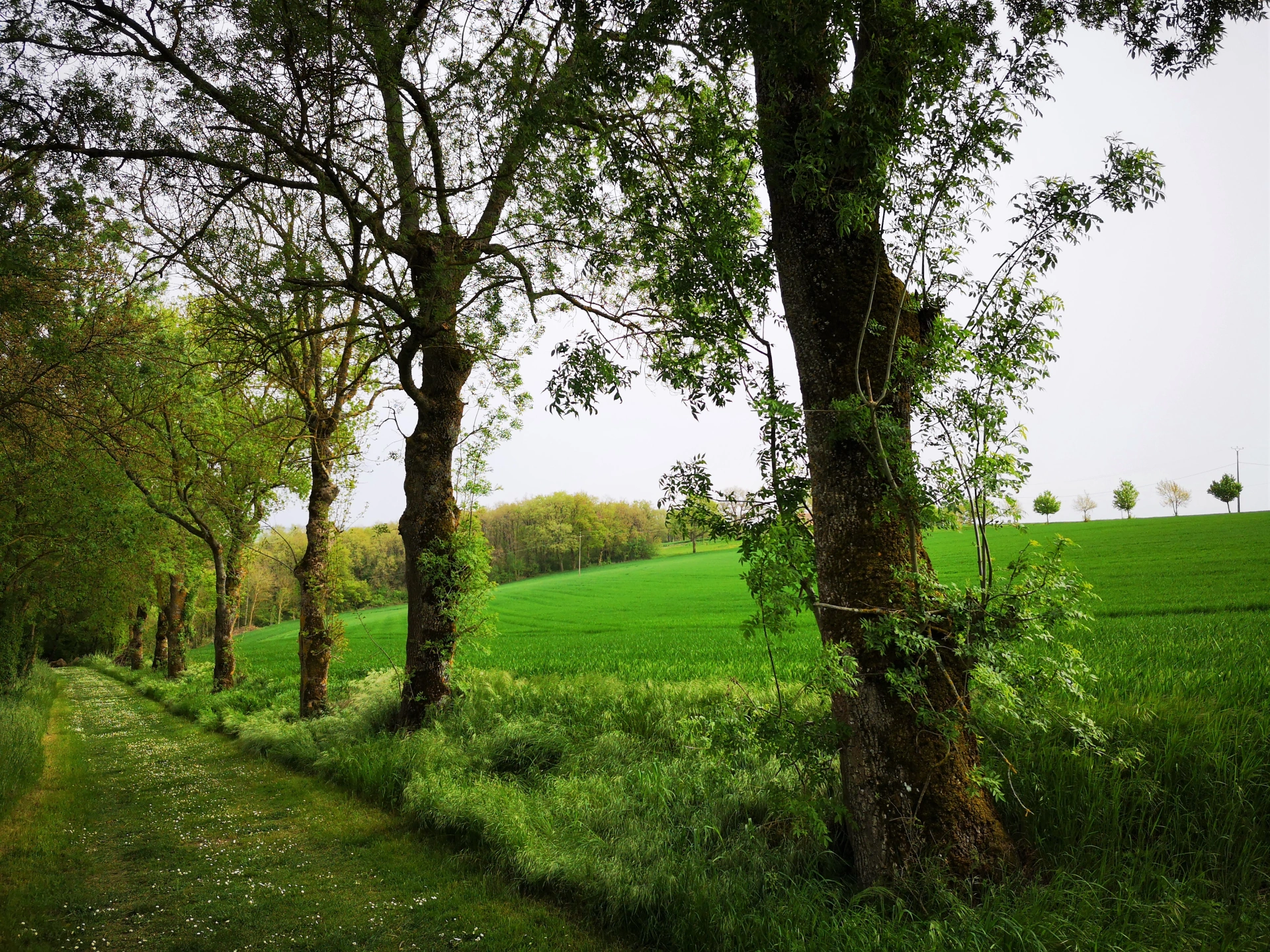 Itinéraire sentier Lavalette