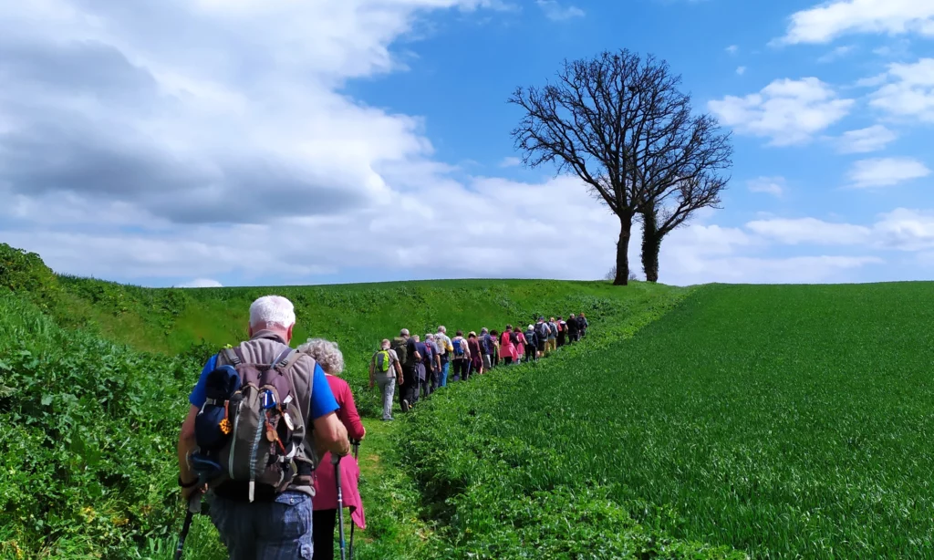 Randonneurs sur le GR46