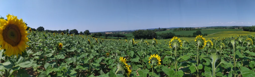 Vue panoramique sur les Coteaux du Girou