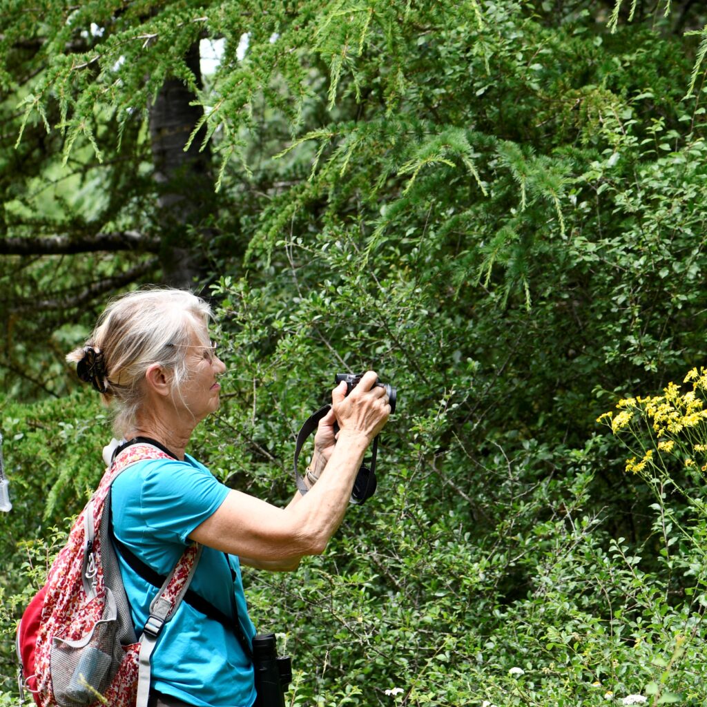 forêt, femme, appareil photo