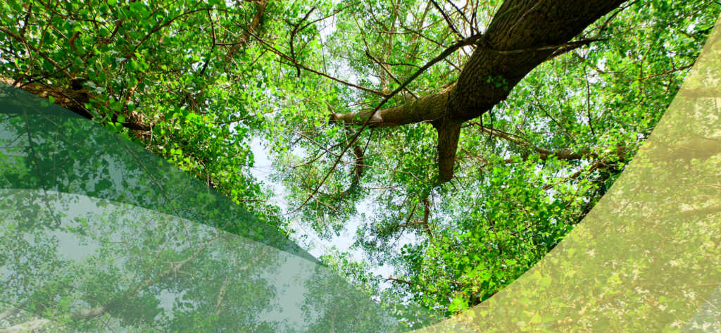 Illustration événement CleanUp Day – Bazus