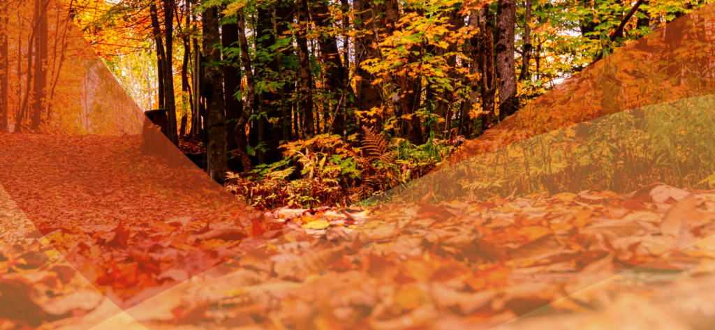 Illustration Les Vacances d’Automne en Coteaux du Girou